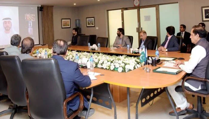 Wapda, UAE group join hands to address energy crisis in Pakistan