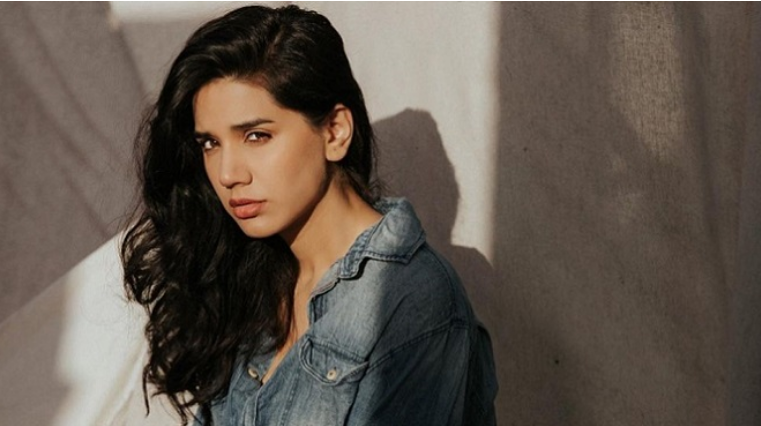 ‘I regret it’: Kiran Ashfaque’s social media post grabs attention
