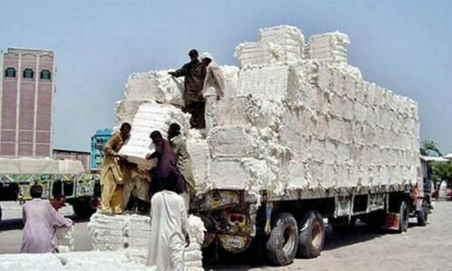 Export orders for lint start pouring in