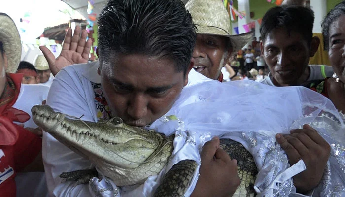VIDEO: Mexican mayor weds alligator-like reptile for good fortune