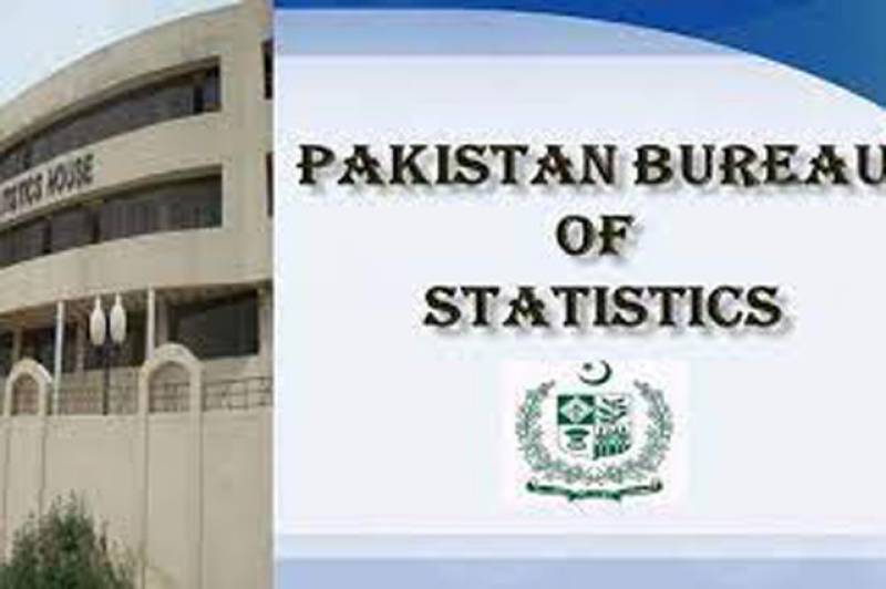 Pakistan earns $881m from travel services’ export in 10 months