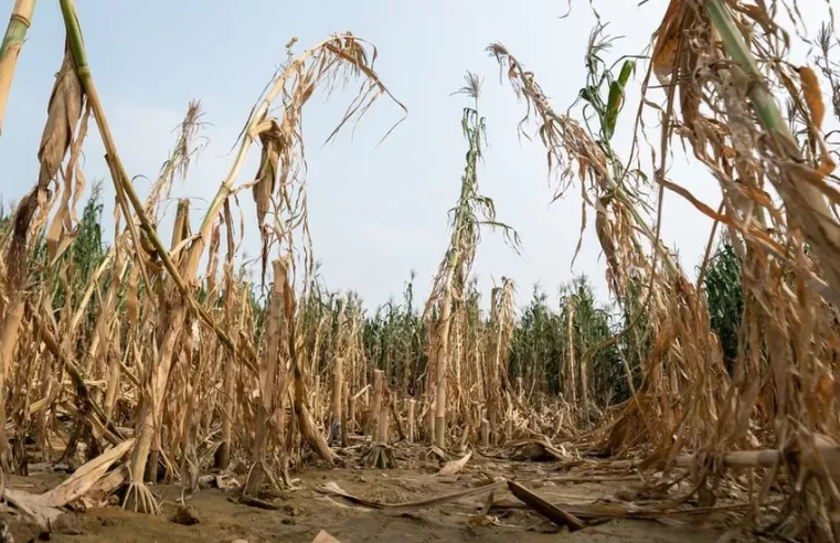 China’s summer of climate destruction