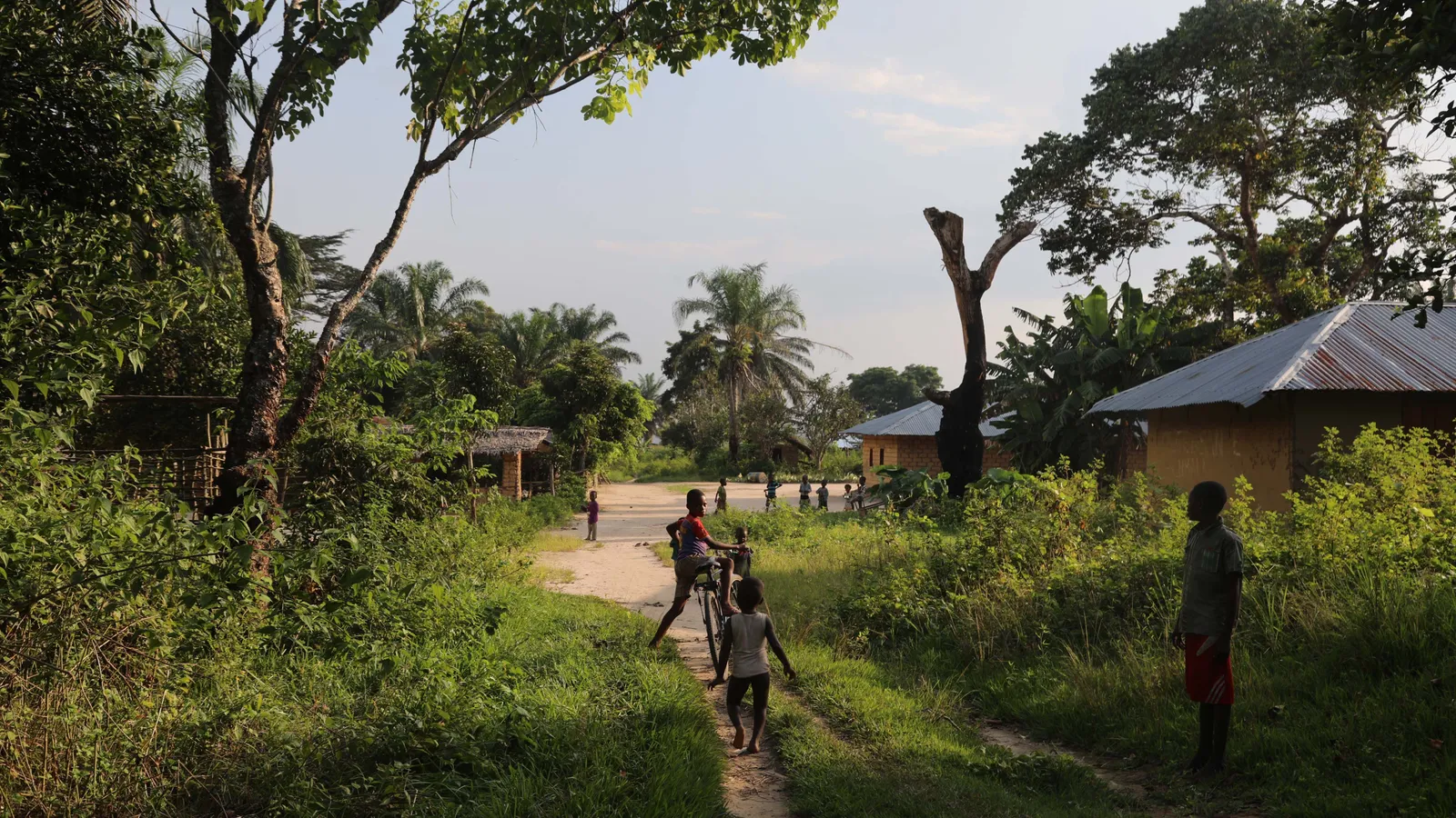 The bold plan to save Africa’s largest forest