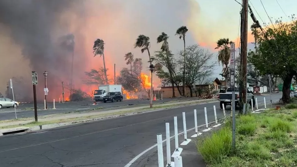 Hawaii fires: At least 36 killed as wildfires tear through Maui island
