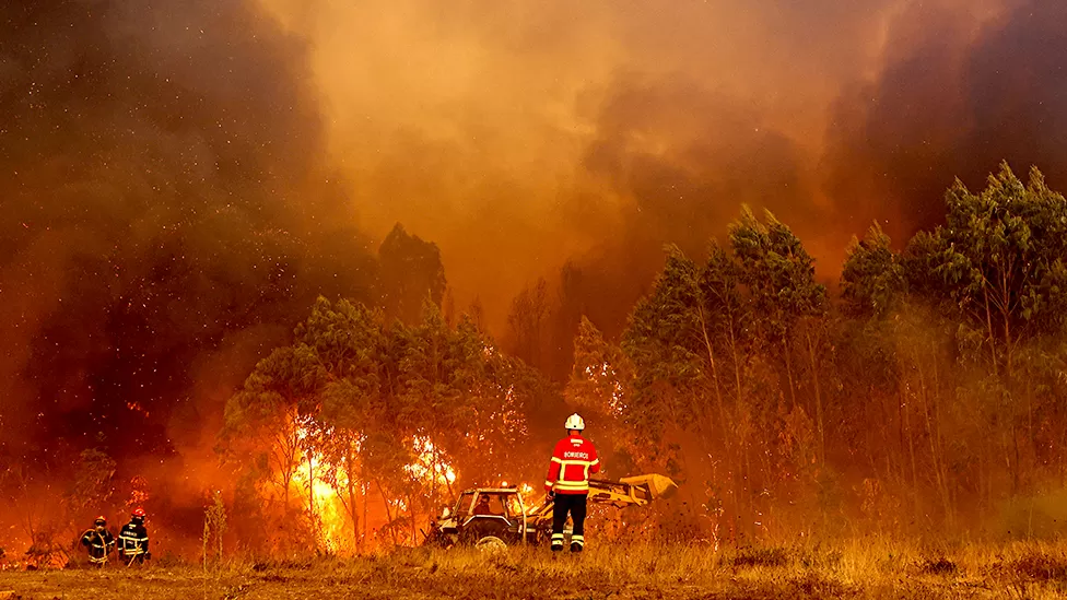 Europe: Portugal battles wildfires amid third heatwave of the year