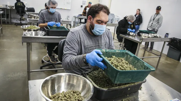 HHS calls for easing restrictions on marijuana, sending cannabis