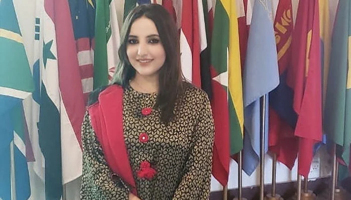 Hareem Shah said Reserves will shoot to $100bn if I’m made FM
