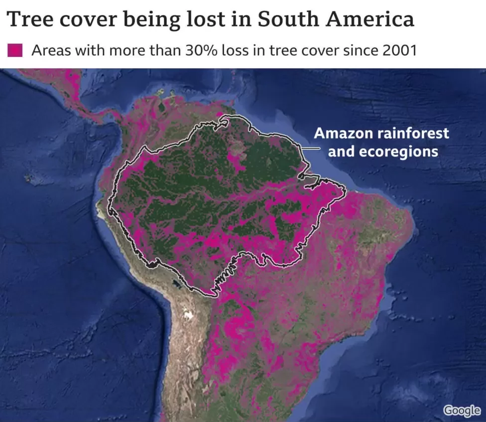 World leaders promise to end deforestation by 2030