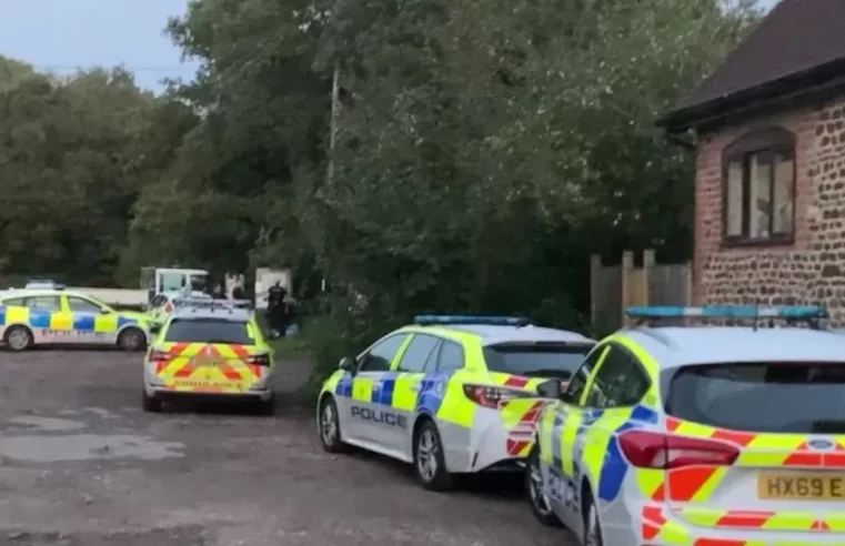 Murder arrest after girl found in Kingsley pond dies