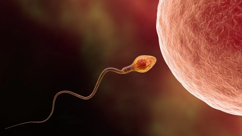 How AI may be a powerful tool in treating male infertility.