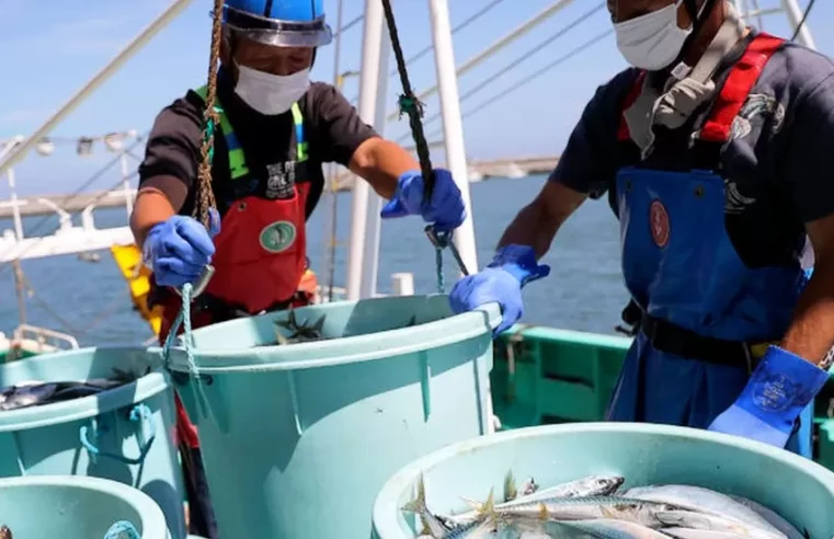 US buys Japan seafood to counter China ban