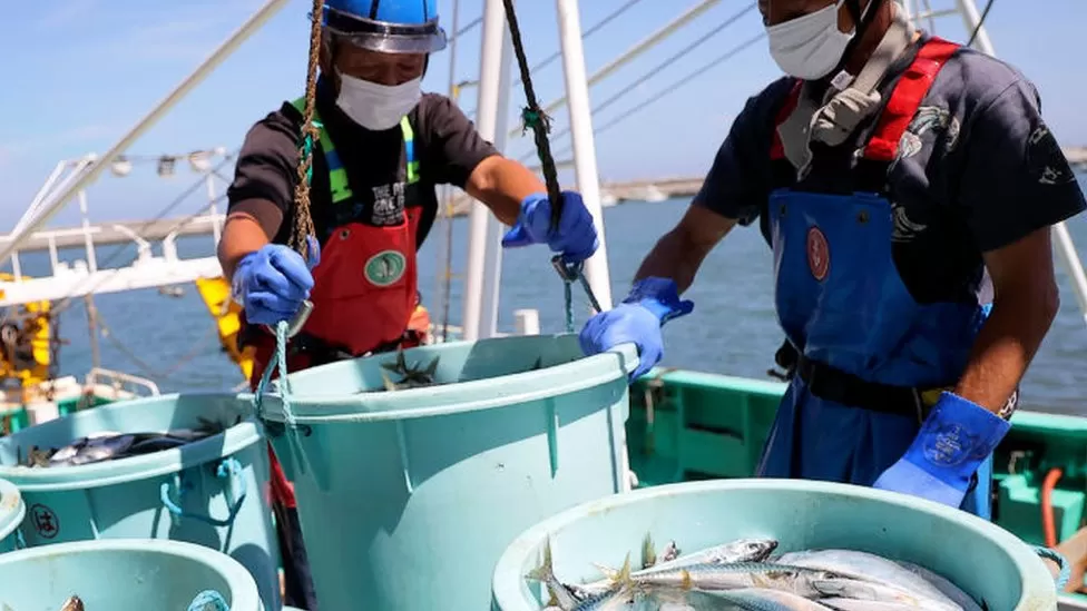 US buys Japan seafood to counter China ban