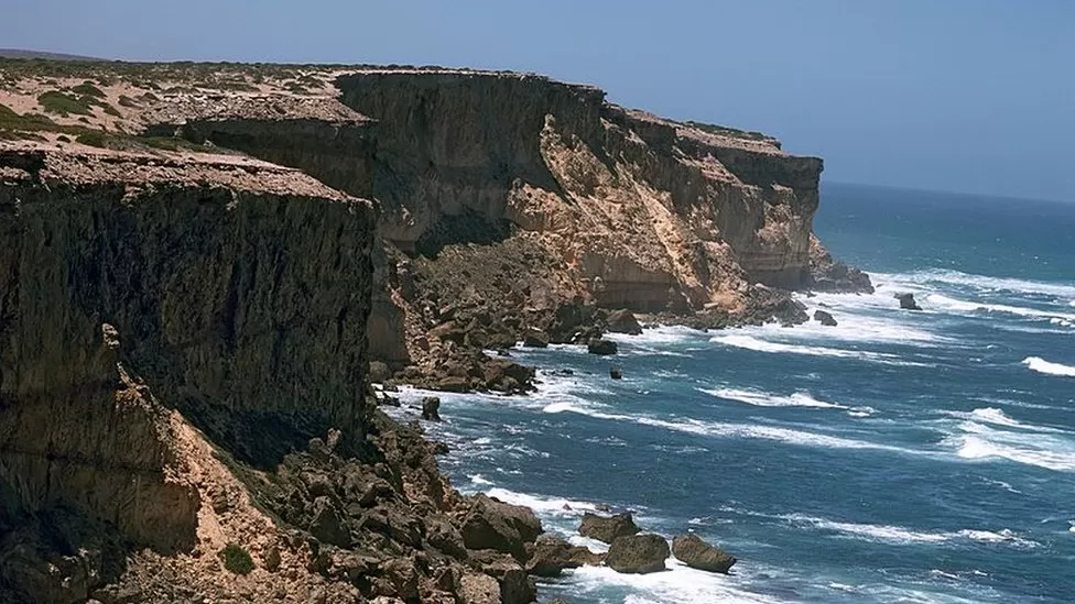 Australia shark attack search under way for surfer