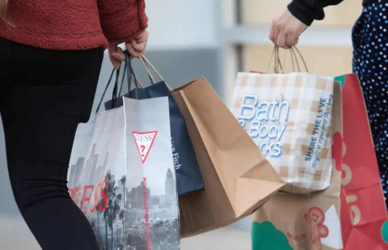 Energized shoppers break one-day holiday sales record