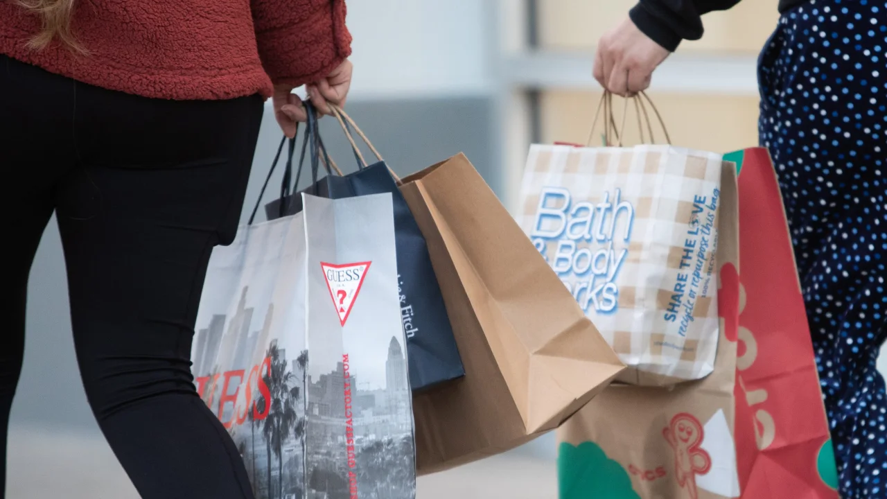 Energized shoppers break one-day holiday sales record