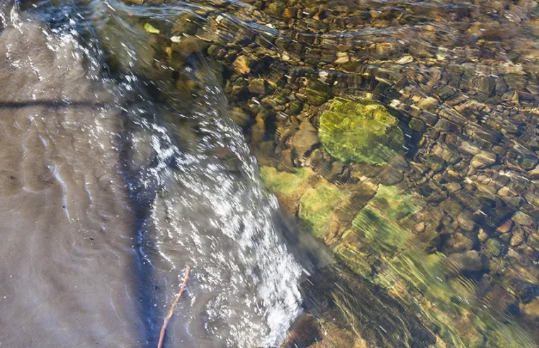 Raw sewage ‘cover-up’ at Windermere World Heritage Site.