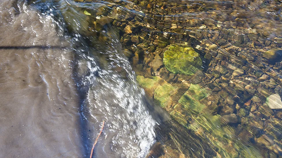 Raw sewage ‘cover-up’ at Windermere World Heritage Site.